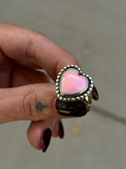Pink conch shell for Tatiana