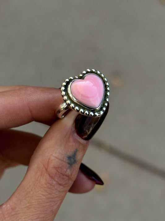Pink conch shell for Tatiana